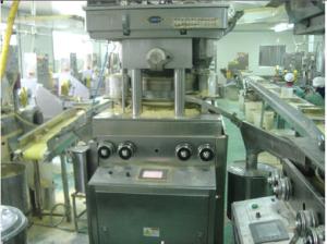China Soup cubes or tablet press machine wholesale