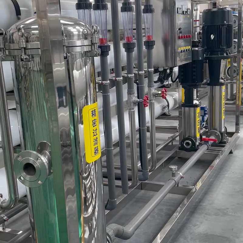 10L/H Ro Systems Reverse Osmosis Pure Water Filtration Plant Material Stainless Steel