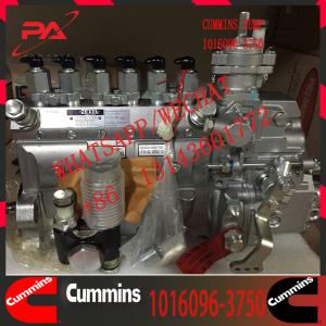 China 1016096-3750 Cummins Diesel Engine Fuel Injection Pump 3075537 3636943 wholesale