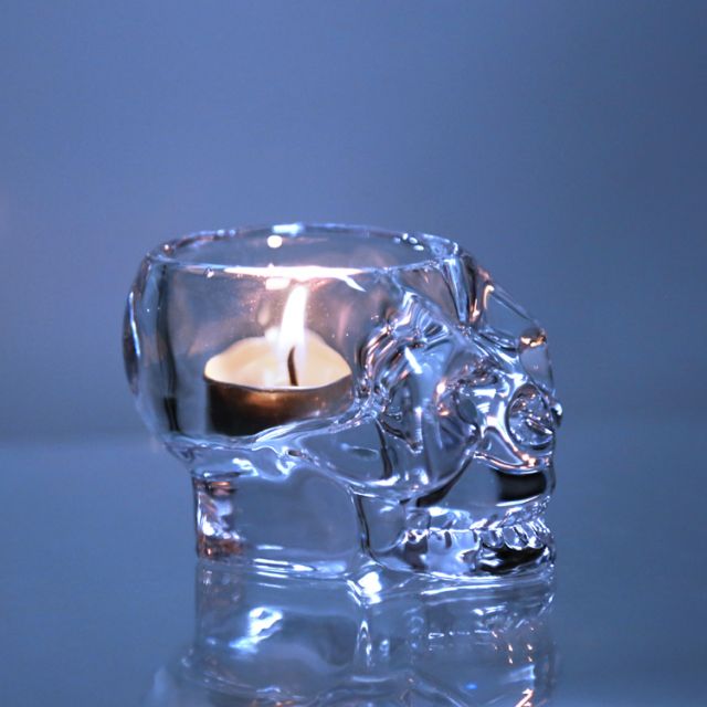 Luxury Decorative Simple Custom Brand Transparent Candle Holder Bone Shape Tealight Set for party decoration