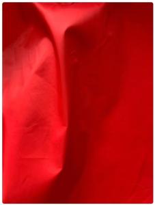 China 20D*20D 100%N 400NYLON TAFFETA PU MEMBRANE wholesale