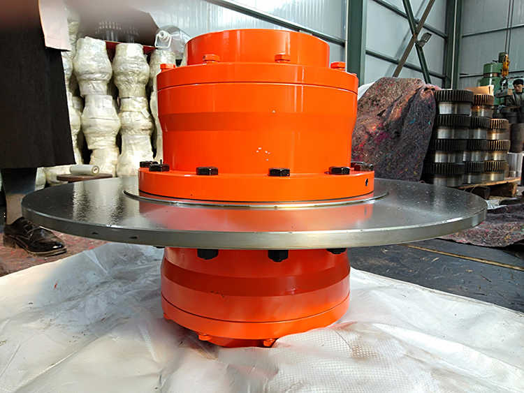 WGP Model Brake Disc Drum Flexible Gear Coupling