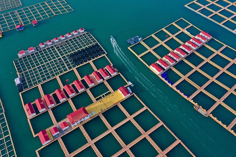 Manufacturer of Leisure Net Cage for Deep-Water Fishery Breeding