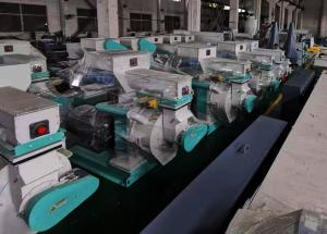 China Biomass Wood Fuel Pellet Making Machine wholesale