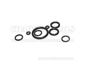 China FFKM Round Rubber Rings 300 Celsius Degrees Chemical Solvent Resistant wholesale