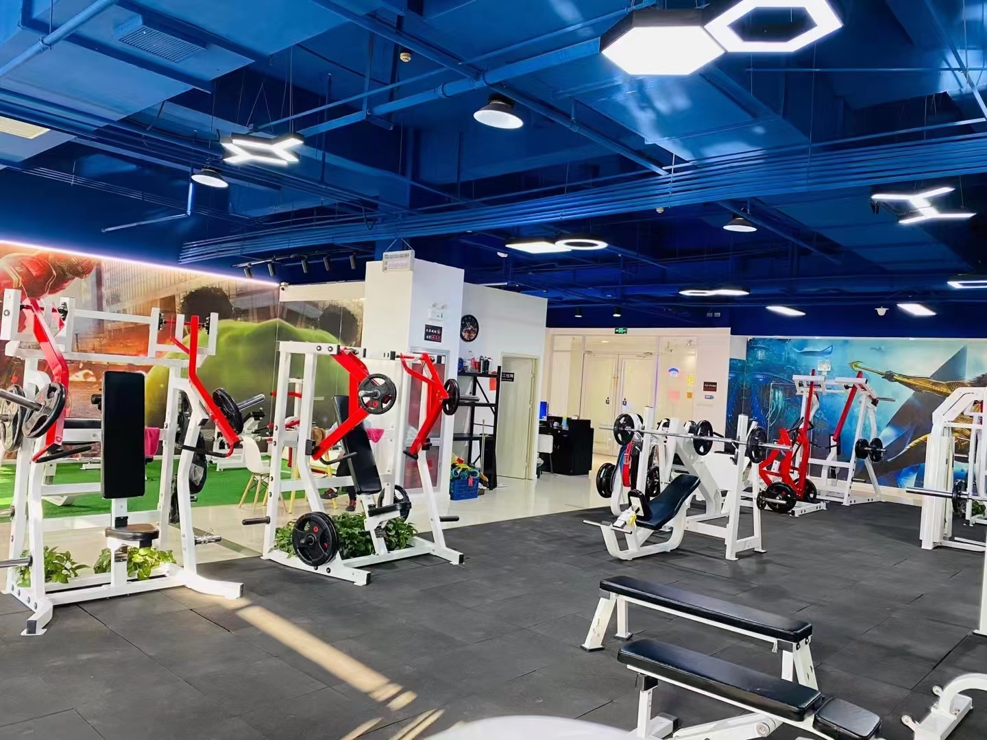 Free Weight Lifting Adjustable Gym Equipment Dumbbells Commercial Steel