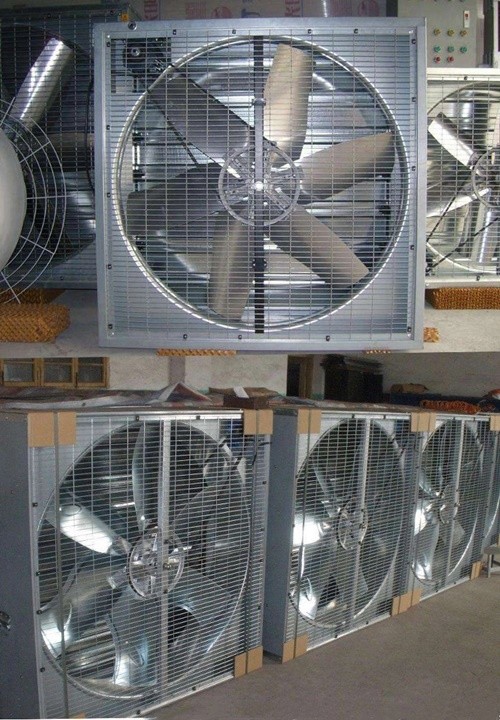 Closed Broiler Air Cooling Exhaust Fan For Poultry Farm