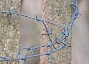 China Rust Resistance Double Twisted PVC Coated /Galvanized Barbed Wire Coils wholesale