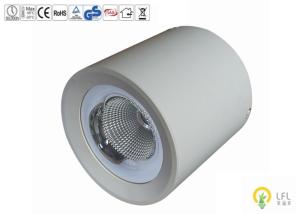China 20W Dimmable LED Commercial Ceiling Lights For Shopping Malls 120lm/W wholesale