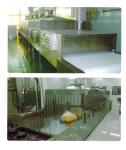 Automatic Tunnel Microwave Vacuum Drying Equipment Egetables Grains Seasoning