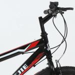 Thicken Cross-Country Tire 20 inch Kids' Bike Popular Colour Matching Bike Velo