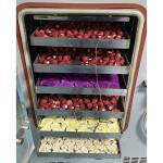 Laboratory Lyophilizer Dryer Freeze Drying Machine Fruit Vegetable