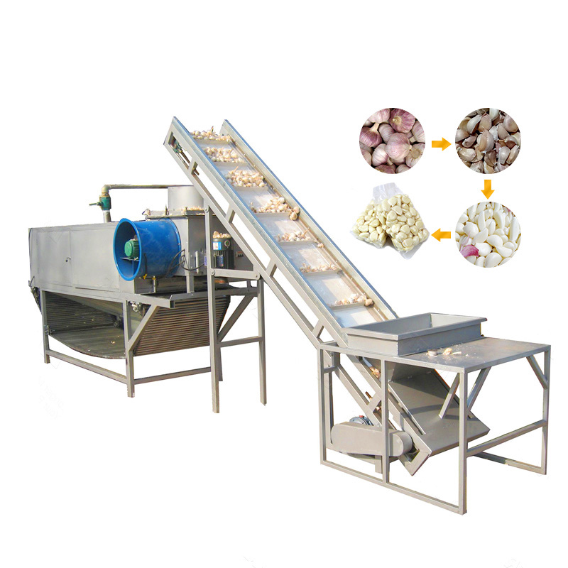 Industry Ultrasonic Fruit Processing Line For Vegetable Washing