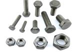DIN608 Carborn Steel Black Flat Countersunk Head Carriage Bolt