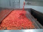 Chemical Industrial Belt Dryer Herbs Chemicals Machinery Conveyor Belt Drying