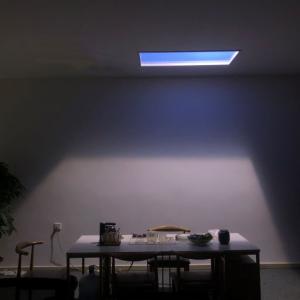 China 120V Healthcare Artificial Sunlight Panel 6500K 6000Lm For Home wholesale