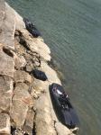 52km Per Hour 120kg Seashores Carbon Fiber Surfboard