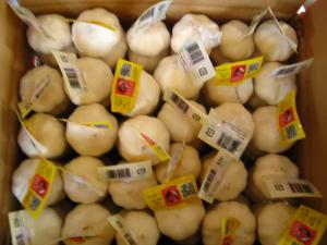 China CHINESE GARLIC wholesale