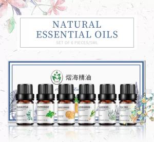 China 10ml 6pcs Aromatherapy Essential Oil Set Healthy Care Custmoized wholesale