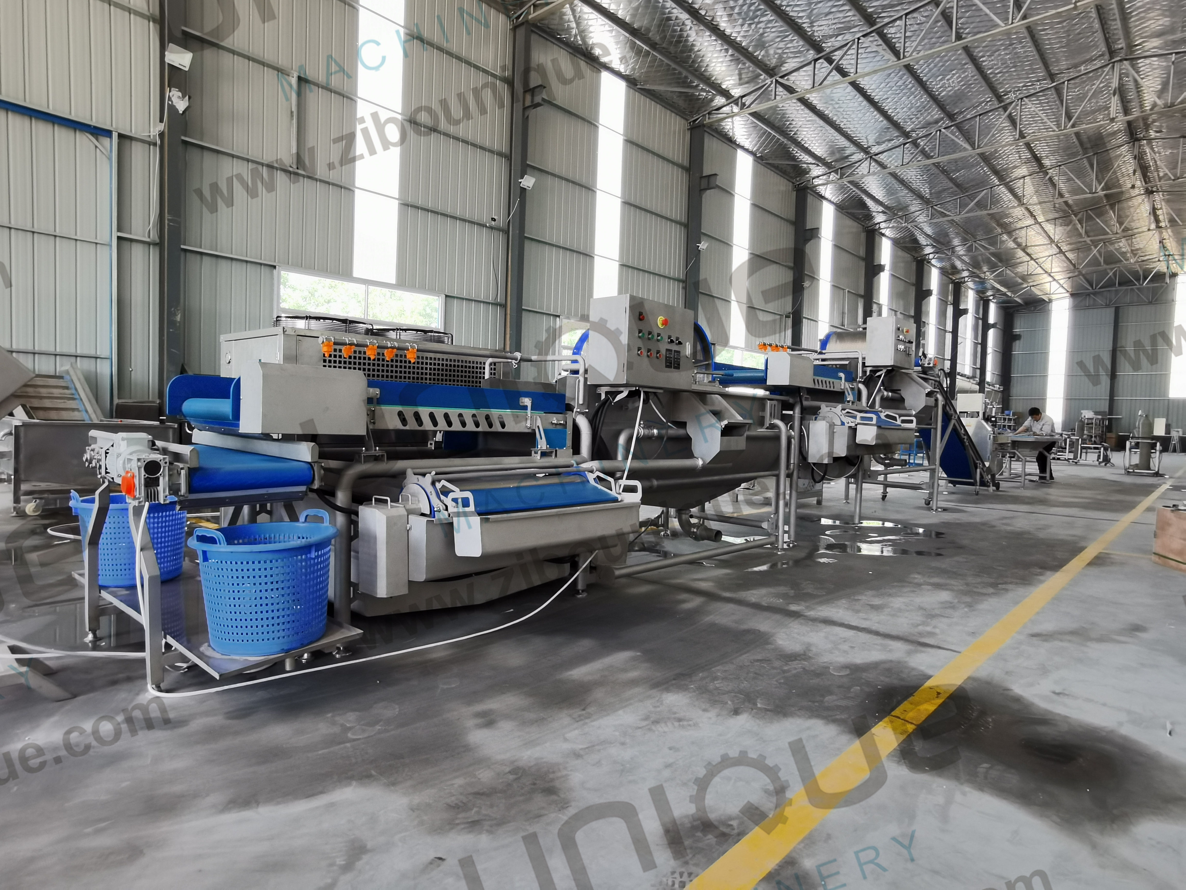 Vegetable Washing Machine 2200 KG for Leafy Greens Cutter and Commercial Fruit Salad
