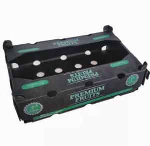 China Width 2200mm Fruit Packaging Boxes Polypropylene Fruits Packing Plastic Box wholesale