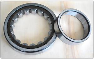 China High Speeds Cylindrical Roller Bearing Stainless Steel FOR Automotive wholesale