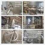 High Efficient Fast Drying Speed GMP Standard Vacuum Conical Dryer