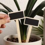 Mini Wooden T-type Plant Labels Garden Plant Markers Chalkboard Stakes Gardening