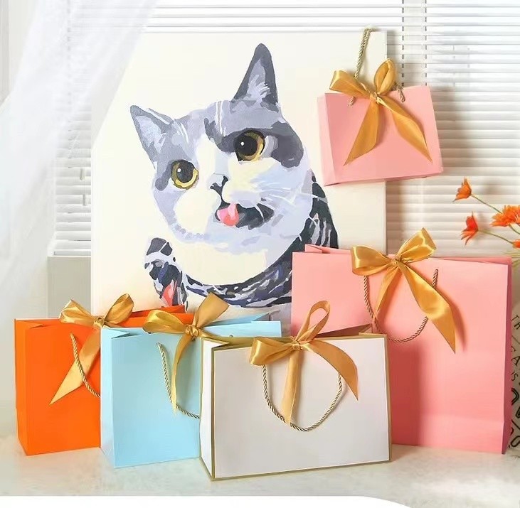 Ribbon Handle Cosmetic Paper Bags