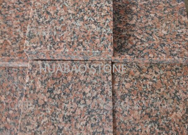 Quality G562 G664 Granite Slab Tiles Vanity Width 300*300 300*600mm For Indoor And Outdoor for sale