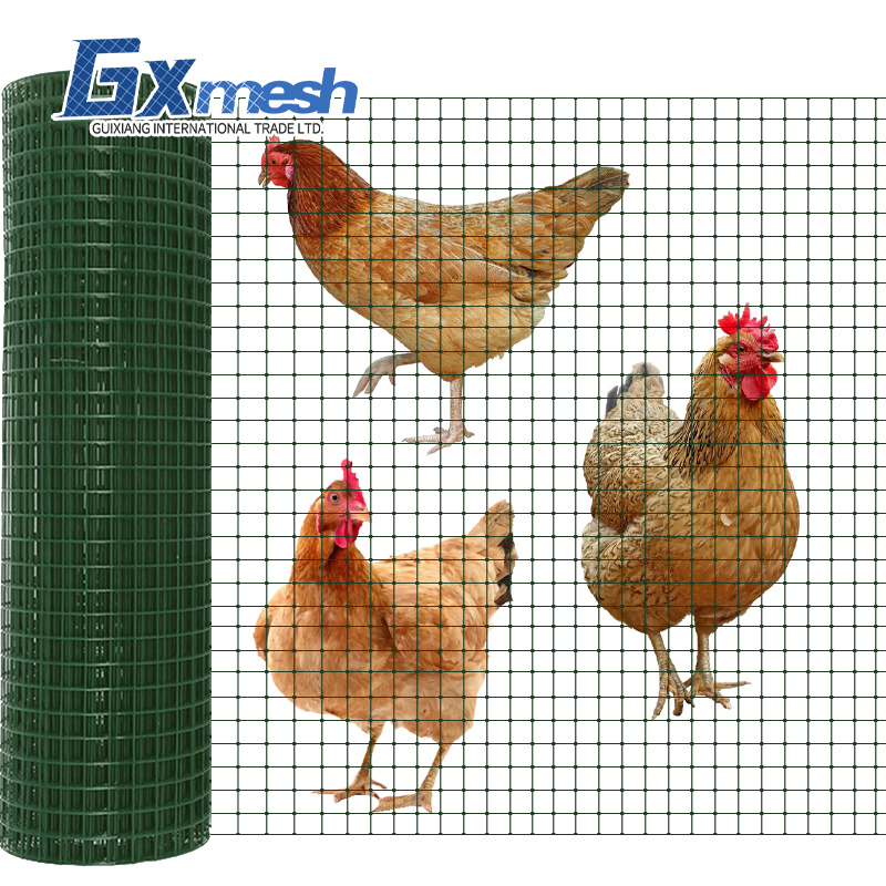 Widely Used Galvanized Welded Wire Mesh For Chicken Pens And Galvanized Welded Wire Mesh Cage