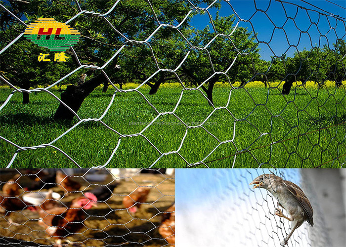 Poultry Rabbit Chicken Vinyl Coated Hex Netting Low Carbon Iron Wire