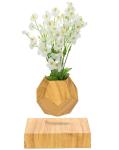 hotsale magnetic levitate floating bottom air bonsai pot planter tree