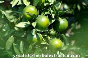 China NHDC(Neohesperidin Dihydrochalcone) sweenteners, herbal extract manufacture exporter wholesale