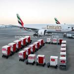 Reliable /Professional Customs Clearance Service Agent Logistics From China