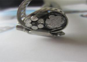 China 600V Aluminum Service Cable Duplex Abc Cable IEC60502-2, BS 6622, NFC 33226 Standard wholesale