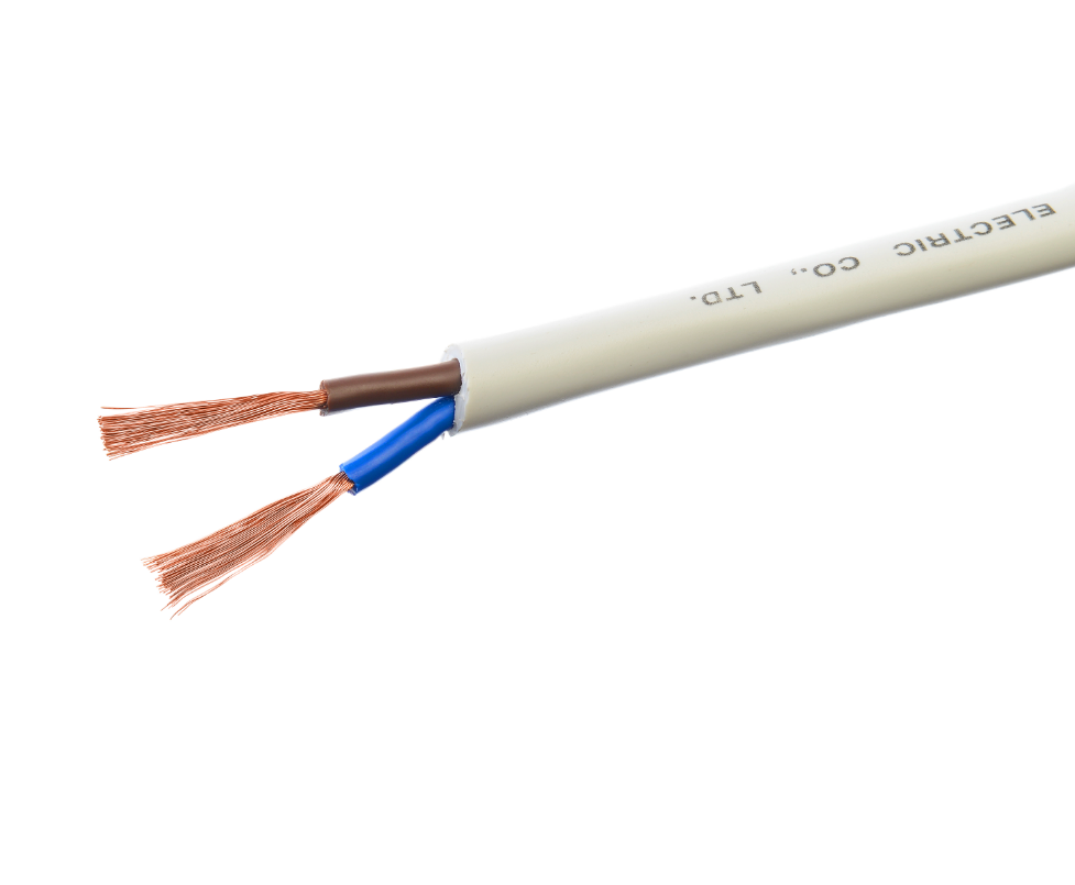 Flexible Cable for Indoor Small Electrical Instruments Power Cables 2 Cores Vde H03vvh2 f Copper PVC Insulation Control