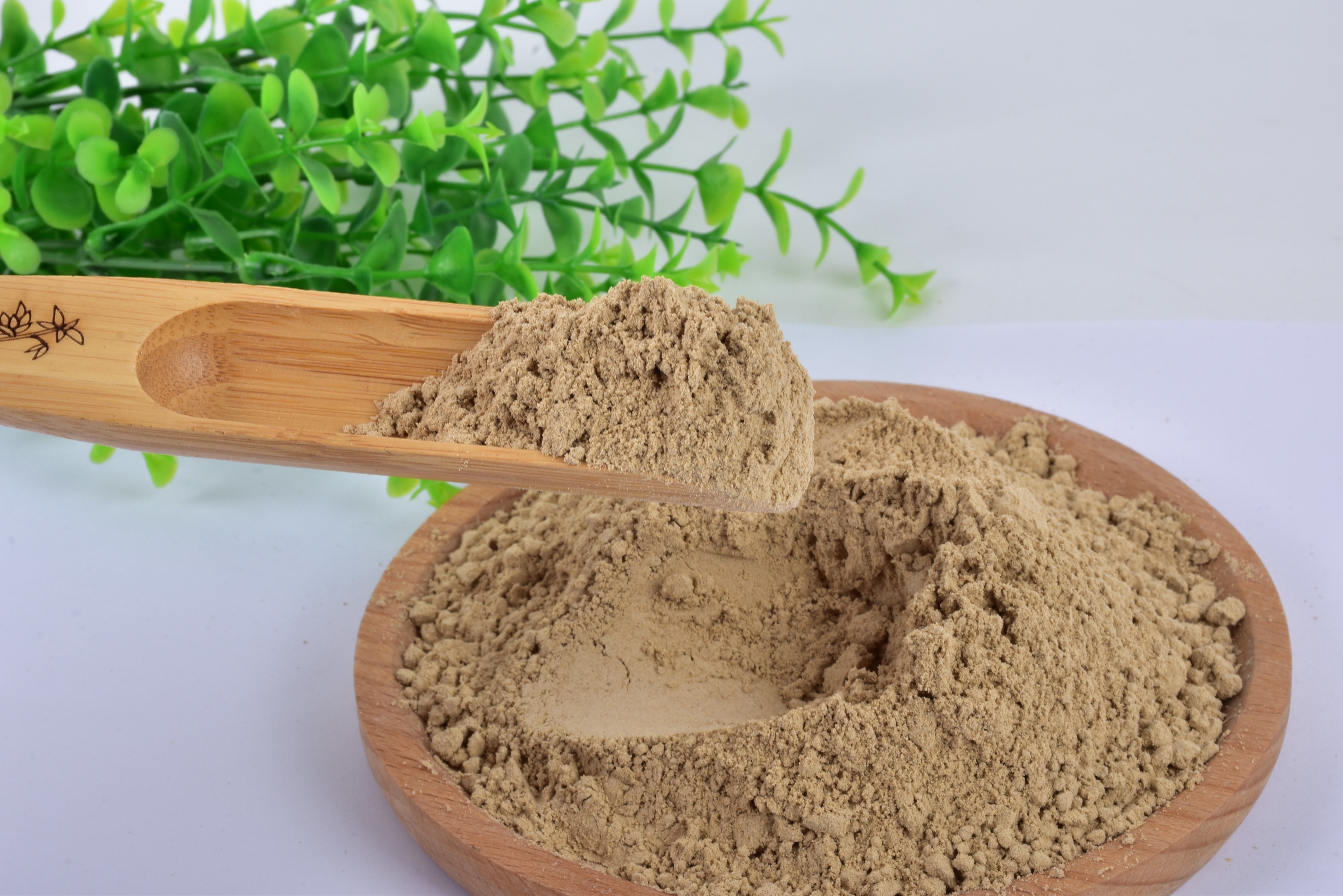 Take Your Business to the Next Level with Mealworm Protein Powder