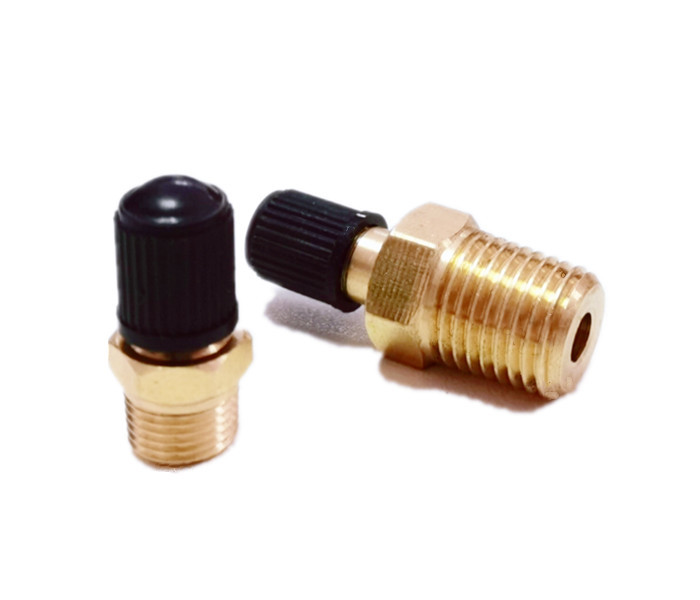 1/8" NPT Tank Valve , Anti Corrosion Brass Schrader Valve With 1/4" Male NPT