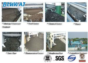 China White Powder Cationic Polyacrylamide for Sludge Dewatering wholesale