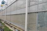 Outdoor Large Multi Span Greenhouse Agriculture Metal Frame Plastic Greenhouse