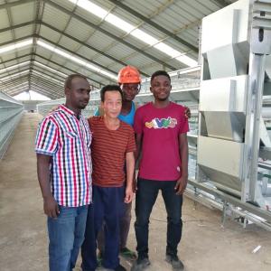 China Chicken House Laying Hens Cage，Battery Chickens Layer Cages Automatic wholesale