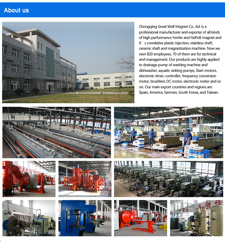 Permanent Injection Multi-Pole Ferrite Motor Rotor Magnet