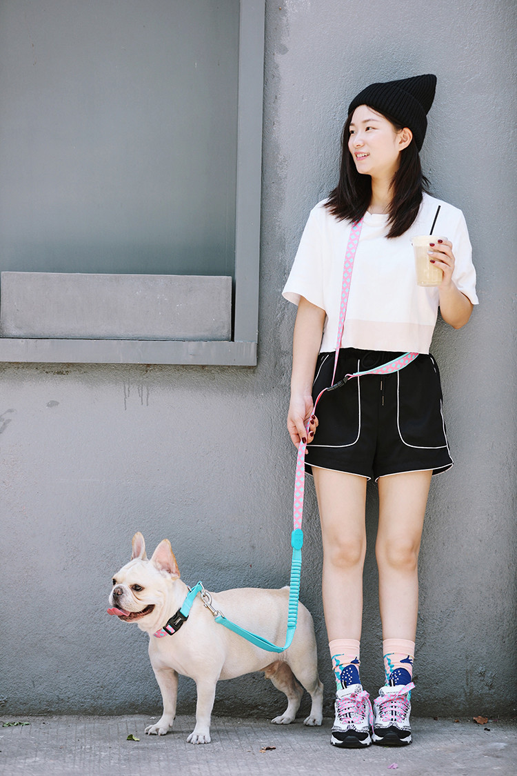 3 Ft 25 Ft 26 Ft Retractable Reflective Dog Leashes And Collars Free Hand Polyester Rope