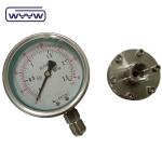 100mm DN20 PN40 Flange Type Pressure Gauge SS316 Stainless Steel