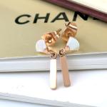 Elegant Lady Fashion Jewelry Stainless Steel Fan-Shaped Drop Earrings