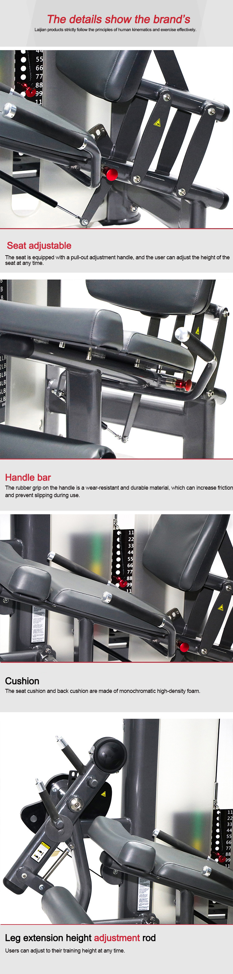 Seated Leg Extension Full Gym Body Building Equipment