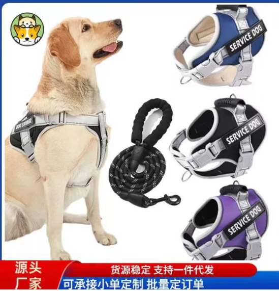 China Pet Exercise &amp; Fitness Gear Category wholesale