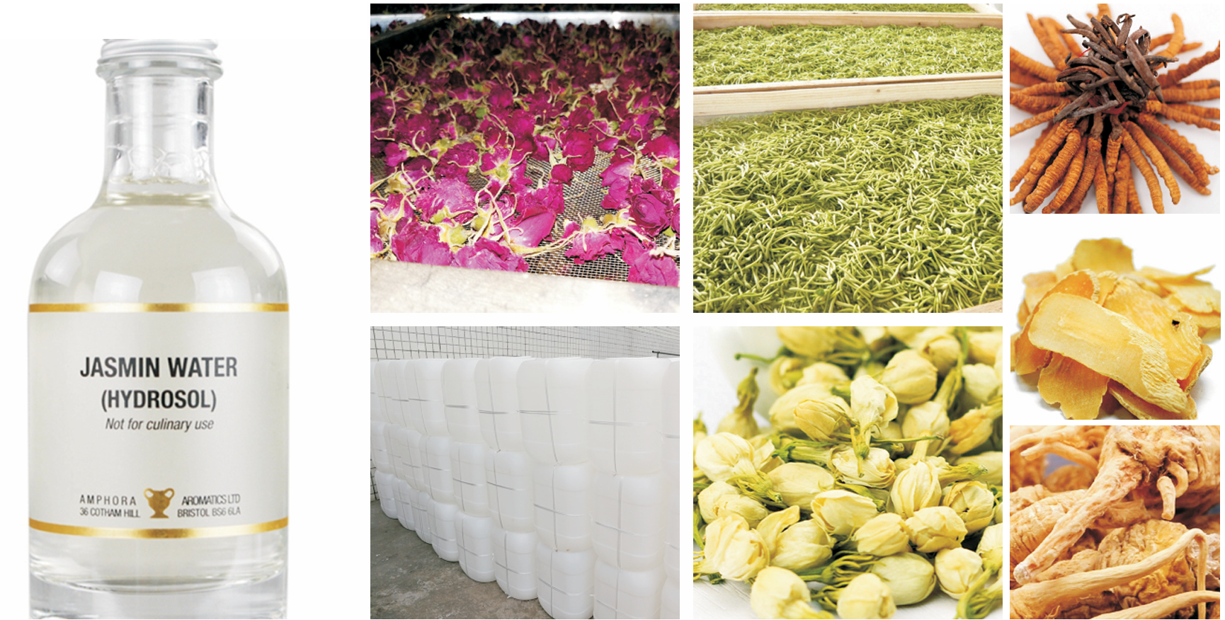 65℃ Hot Air Circulation Fruit Drying Machine with Food Standard SUS 304/316 and 5-500kg/hour Capacity Heat Pump Dehumidifier