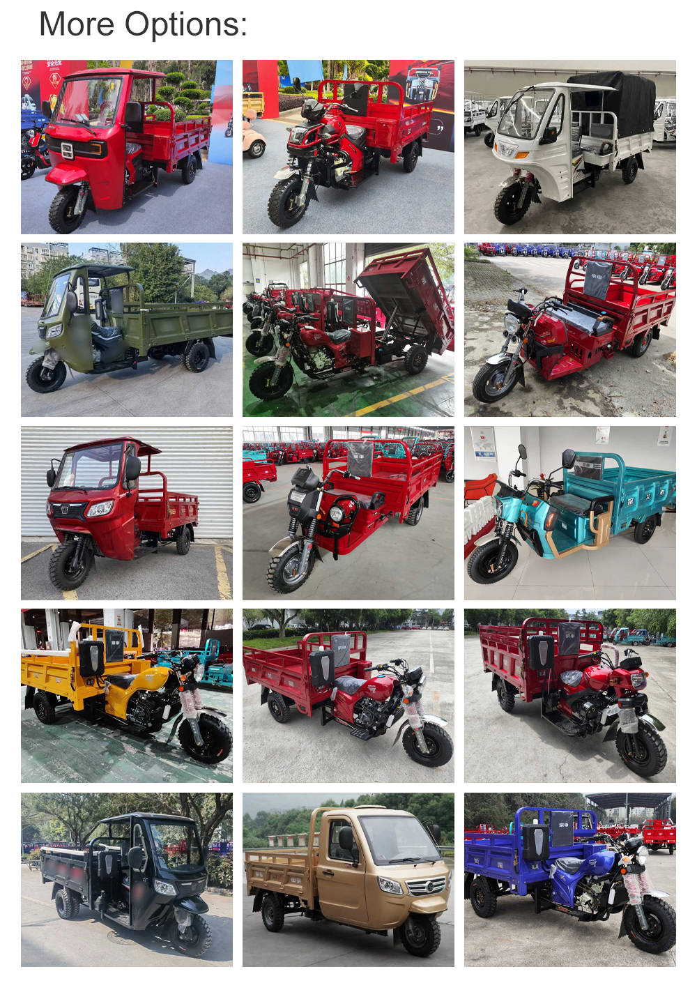 5.00-12 Tire Size Gas Tricycle Equipped with 8 Leaf Springs Rear Suspension